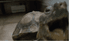 Profile picture of k4A-